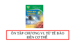 Giáo án điện tử Khoa học tự nhiên 6 Kết nối tri thức : Ôn tập chương VI