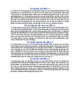 Tả cái thước kẻ của em - Tập làm văn lớp 3 Chân trời sáng tạo
