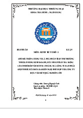 Phân Tích Tác Động Của Thuế Đến Ô Tô Điện VinFast | Bài thảo luận kinh tế vi mô