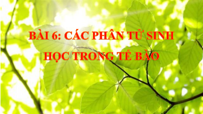 Bài 6 | Bài giảng PowerPoint môn Sinh học 10 | Chân trời sáng tạo