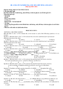 Đề cương ôn tập học kỳ 2 tiếng anh 12 năm học 2022-2023