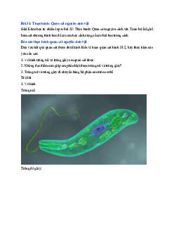 Giải Khoa học tự nhiên lớp 6 - bài 31: Thực hành Quan sát nguyên sinh vật | Kết nối tri thức