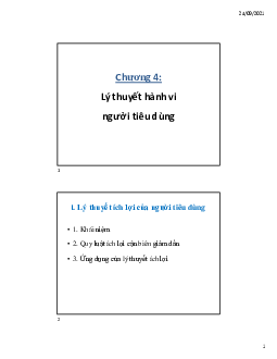 Bài giảng chương 4: "Lý thuyết hành vi người tiêu dùng"