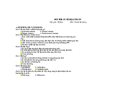 Đề thi cuối kỳ học phần Tin học đại cương | Đại học Bách Khoa Hà Nội