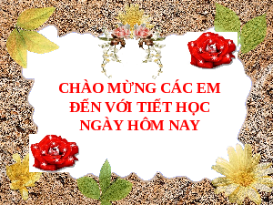 Giáo án điện tử Địa lí 6 Bài 19 Chân trời sáng tạo: Lớp đất và các nhân tố hình thành đất. Một số nhóm đất điển hình