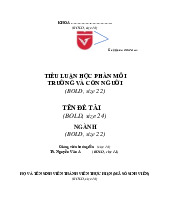 Hướng dẫn trình bày Tiểu luận MTCN: Môi trường và con người | Đại học Văn Lang