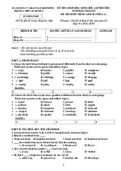 Đề thi chọn học sinh giỏi cấp trường THPT An Dương ,Hải Phòng năm học 2018-2019 môn Tiếng Anh 10