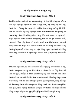 Tập làm văn lớp 2: Tả cây thước em đang dùng (22 mẫu) | Chân trời sáng tạo