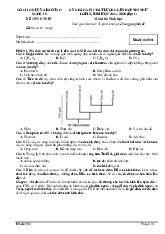 Đề thi thử tốt nghiệp THPT 2025 môn Sinh học lần 1 Sở GD&ĐT Nghệ An