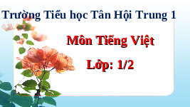 Giáo án điện tử Tiếng việt 1 bài 1 Chân trời sáng tạo : P, ph