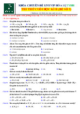 Đề thi thử cuối học kì II - Đề số 5 môn Hóa 11