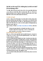 Xe thô sơ là xe gì? Có những loại xe thô sơ nào? Đi làn đường nào?