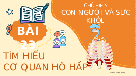 Giáo án điện tử Tự nhiên và Xã hội 2 Bài 23 Kết nối tri thức: Tìm hiểu cơ quan hô hấp