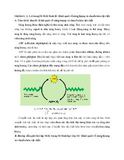 Giải bài tập trang 56 SGK Sinh học lớp 10: Khái quát về năng lượng và chuyển hóa vật chất