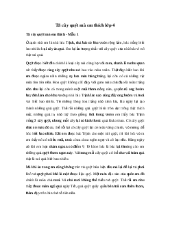 Tả cây quýt | Tập làm văn lớp 4