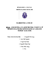Đề tài: ảnh hưởng của môi trường vi mô và vĩ mô đến hoạt động kinh doanh của doanh nghiệp acecook môn Marketing căn bản | Trường đại học Mở Hà Nội