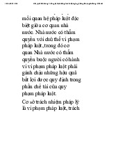 Trách nhiệm pháp lý trong tai nạn giao thông môn Pháp luật đại cương| Trường Đại học Ngoại Thương