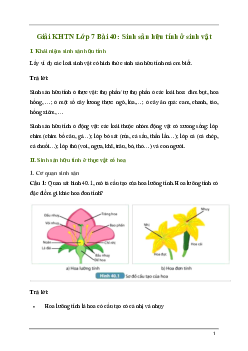 Bài 40: Sinh sản hữu tính ở sinh vật | Giải sách Khoa học tự nhiên 7 Kết nối tri thức