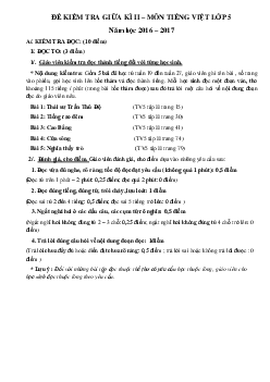 Đề thi giữa học kì 2 môn Tiếng Việt lớp 5 năm 2016-2017 trường Tiểu Học An Nông