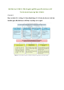 Giải Sinh 11 bài 24: Một số ngành nghề liên quan đến sinh học cơ thể | Cánh diều