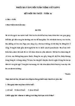 Phiếu Bài tập cuối tuần tiếng Việt lớp 2 học kì 1 | Kết nối tri thức Tuần 16 cơ bản