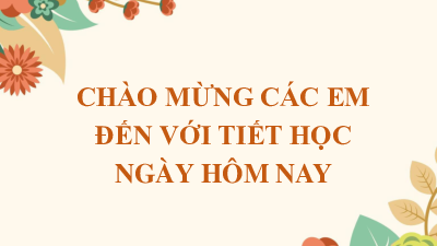 Chương 8,  Bài 1: Điểm. Đường thẳng(Tiết 2) | Bài giảng PowerPoint Toán 6 | Chân trời sáng tạo