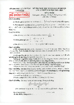 Đề thi chọn HSG cấp huyện Toán 12 năm 2020 – 2021 sở GD&ĐT Cao Bằng