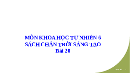 Giáo án điện tử Khoa học tự nhiên 6 bài 20 Chân trời sáng tạo : Các cấp độ tổ chức trong cơ thể đa bào