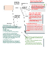Tính Tất Yếu Trong Cấu Trúc Xã Hội môn Chủ nghĩa xã hội khoa học | Trường Đại học Tôn Đức Thắng