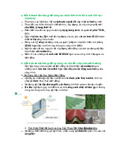 Tăng cường Kiến thức Kiến trúc về Môi trường và Bền vững | Đại học Văn Lang