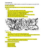 Tạo Hình Nghệ Thuật Thời Lý