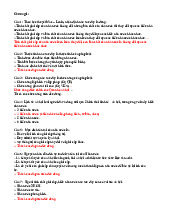 Đề và đáp án trắc nghiệm môn pháp luật đại cương câu từ 1-157 | Đại học Điện lực