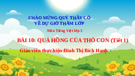 Giáo án điện tử Tiếng Việt 3 Tập 2 Bài 10 Kết nối tri thức: Quả hồng của con thỏ - Đọc