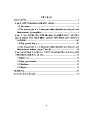 Tiểu luận môi trường marketing môn Kinh tế vi mô | Trường Đại học Tài nguyên và Môi trường Hà Nội