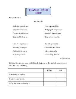 Bài tập cuối tuần Tiếng Việt lớp 3 Cánh Diều Tuần 25 cơ bản