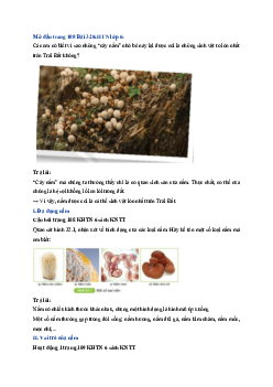 Giải Khoa học tự nhiên lớp 6 - bài 32: Nấm | Kết nối tri thức