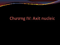 Chương 4: Axit nucleic | Bài giảng môn Hóa sinh đại cương | Đại học Bách khoa hà nội