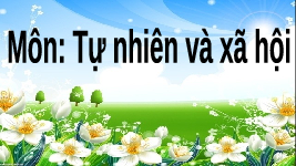 Giáo án điện tử Tự nhiên và Xã hội 2 Bài 28 Kết nối tri thức: Các mùa trong năm