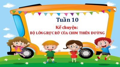 Tuần 10 - Kể chuyện: Bộ lông rực rỡ của chim thiên đường | Bài giảng PowerPoint Tiếng Việt 3 | Cánh Diều