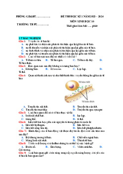 Giải Đề thi học kì 1 môn Sinh học 10 năm 2023 - 2024 sách Kết nối tri thức với cuộc sống Đề 5