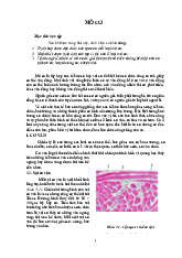 52 Handout MÔ CƠ (1)