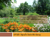 Cac ky thuat BTPM(10)