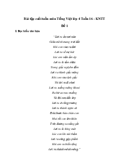 Giải Bài tập cuối tuần lớp 4 môn Tiếng Việt Kết nối tri thức - Tuần 16