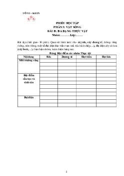 Chủ đề 8. Bài 19: Đa dạng thực vật(Phiếu học tập) | Bài giảng KHTN 6 | Cánh diều