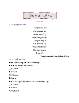 Phiếu Bài tập cuối tuần tiếng Việt lớp 2 học kì 2 | Kết nối tri thức Tuần 22 cơ bản