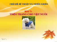 Giáo án điện tử Mĩ Thuật 6 Bài 7 Cánh diều: Thời trang cho vật nuôi