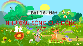 Giáo án điện tử Khoa học 4 Bài 16 Chân trời sáng tạo: Nhu cầu sống của động vật