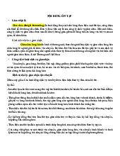 Nội dung tóm tắt Môn Vận tải và bảo hiểm ngoại thương | Đại học Cần Thơ