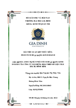 Phân tích hoạt động kinh doanh của công ty Hải Hưng Hoa - Tiểu luận kết thúc môn Phân tích hoạt động kinh doanh | Đại học Gia Định