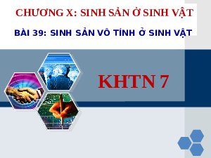 Giáo án điện tử Khoa học tự nhiên 7 bài 39 Kết nối tri thức : Sinh sản vô tính ở sinh vật